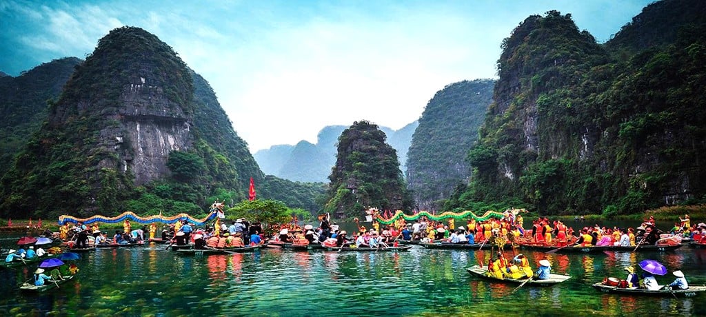 Đến một nơi núi non, sông nước ở tỉnh Ninh Bình, có người chỉ thích coi loài cây này