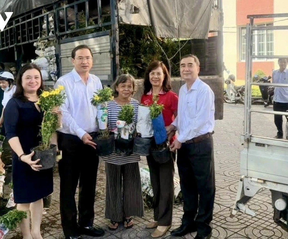 Phường Vũng Tàu, TPHCM, Bí thư Đảng ủy bỏ tiền mua hoa Huỳnh Anh từ tỉnh Đồng Tháp về trồng ở khu phố