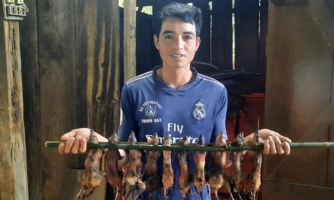 Đặc sản đãi khách quý ở vùng núi tỉnh Kon Tum (cũ) là con động vật chuyên rình 'ăn trộm đồ quốc bảo' này đây
