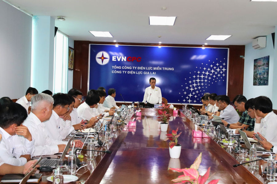 Tổng Giám đốc EVNCPC làm việc với Công ty Điện lực Gia Lai sau sáp nhập