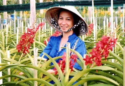 Tượng đài nông dân xóa nghèo trên đất thép Củ Chi (Bài cuối): Tiên phong xây dựng lớp nông dân mới