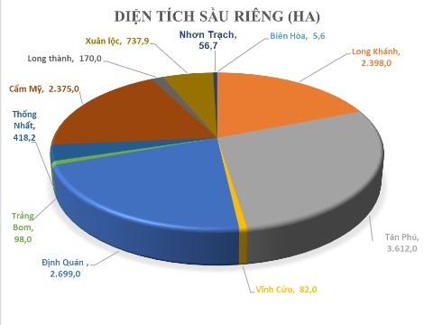 sau-rieng-dang-phat-trien-qua-nong-1-8041