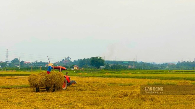 Dat-Nong-Nghiep-3