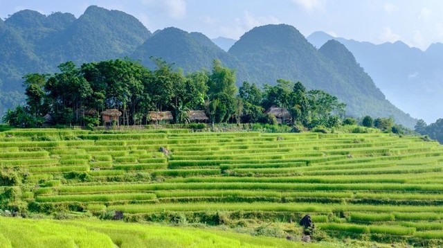  Khu bảo tồn thiên nhiên tự hào nhất là những ruộng bậc thang được trồng trọt tuyệt đẹp mang đến tầm nhìn tuyệt đẹp từ sườn núi. Nguồn: Shutterstock