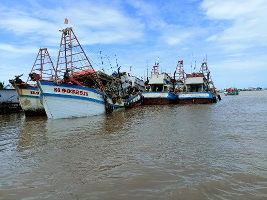  Tỉnh Bạc Liêu kiểm soát chặt chẽ ghe tàu ra vào bờ nhằm hướng tới việc gỡ thẻ vàng IUU