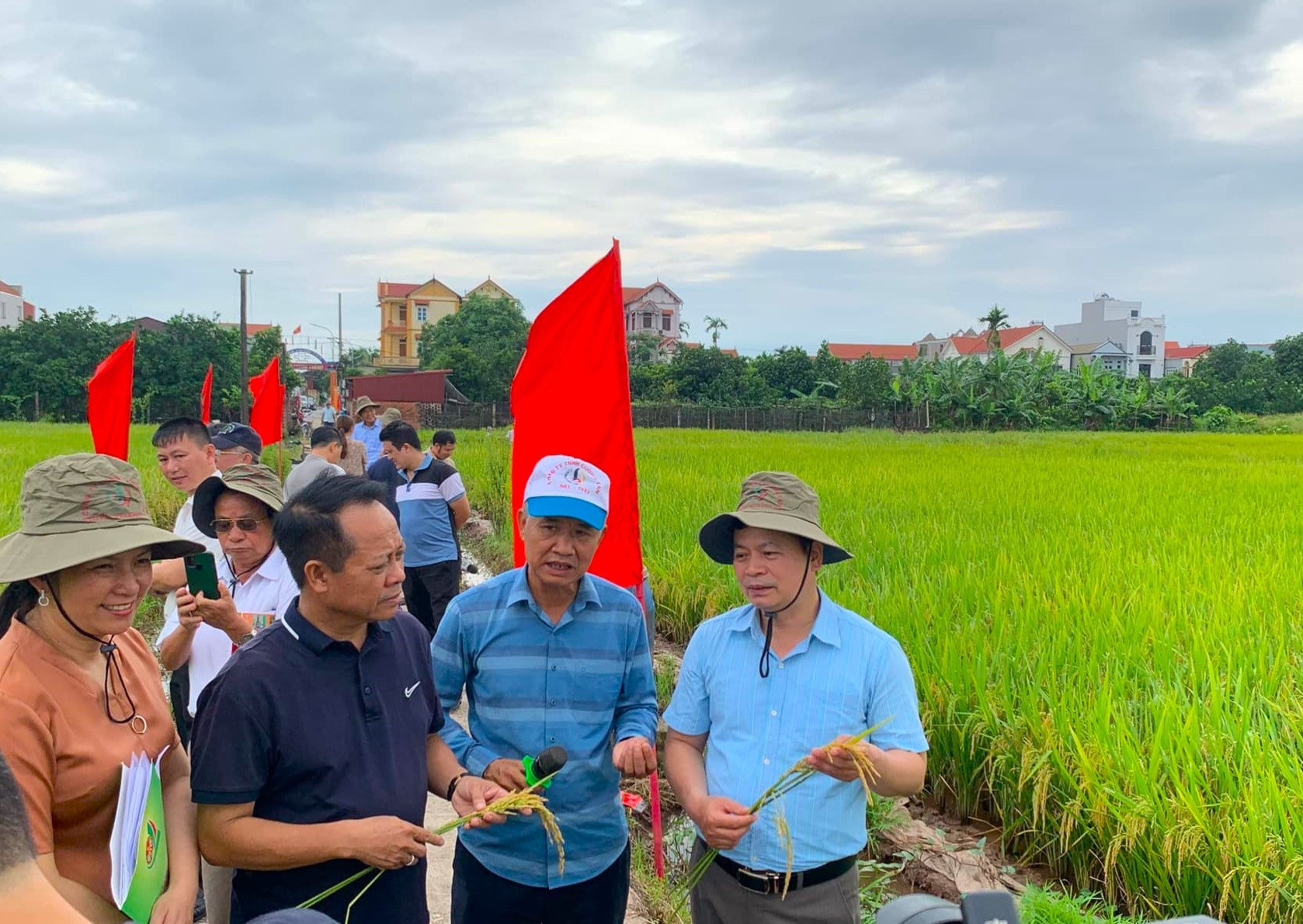  Đan Phượng đã đạt được nhiều kết quả ấn tượng và nổi tiếng là địa phương có nhiều nông sản thương hiệu tốt.