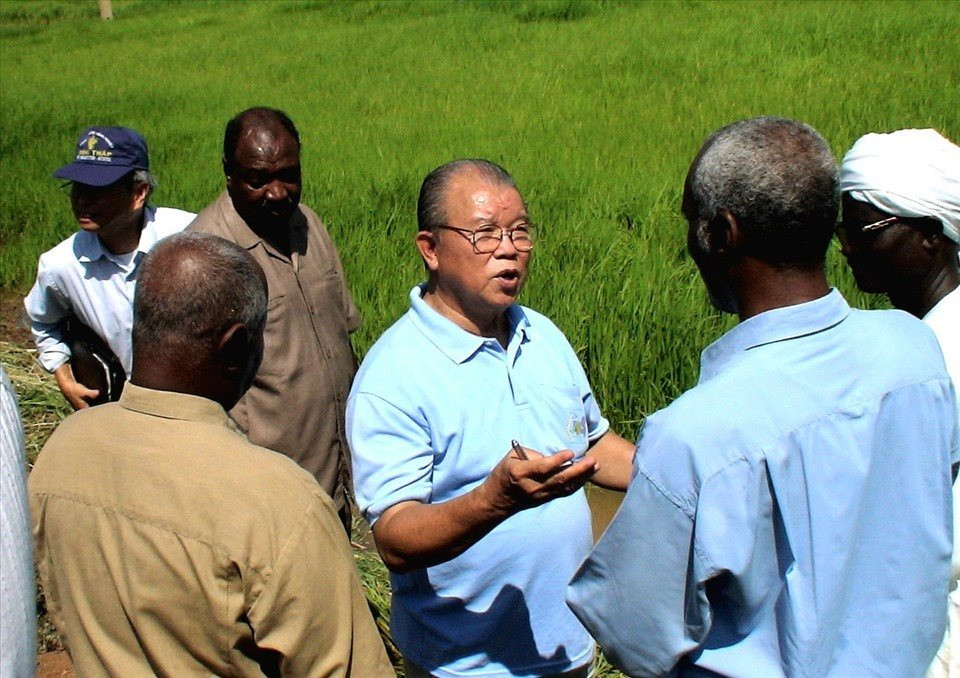  Chương trình giúp cho Sierra Leone phát triển nghề trồng lúa nước của GS-TS Võ Tòng Xuân - Ảnh: T.L