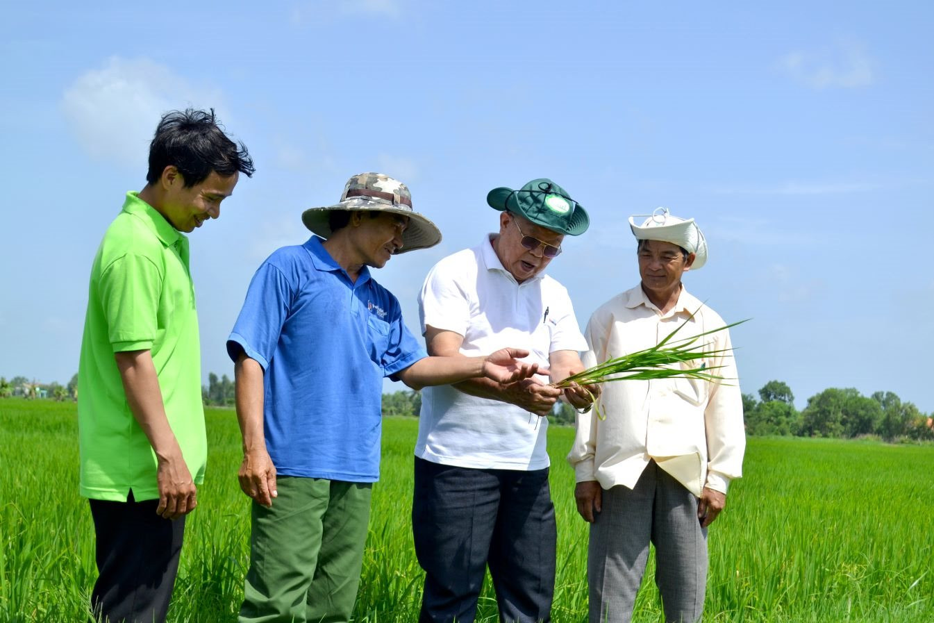  GS-TS Võ Tòng Xuân một đời gắn bó với cây lúa - Ảnh: L.T