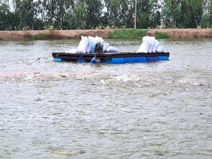  Ngành thuỷ sản cần minh bạch để xuất khẩu bền vững vào EU. Ảnh: Trung Chánh