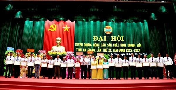  Tuyên dương và trao bằng khen cho các nông dân tiêu biểu - Ảnh: C.H