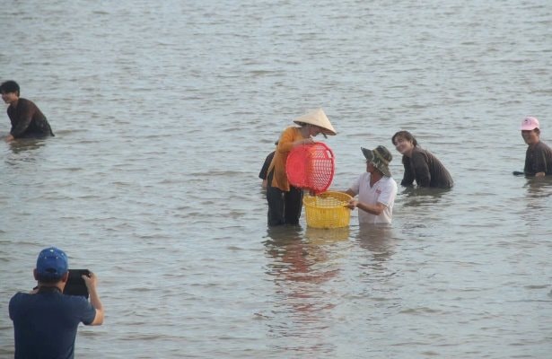  Du khách thích thú trải nghiệm hoạt động bắt nghêu tại bãi bồi