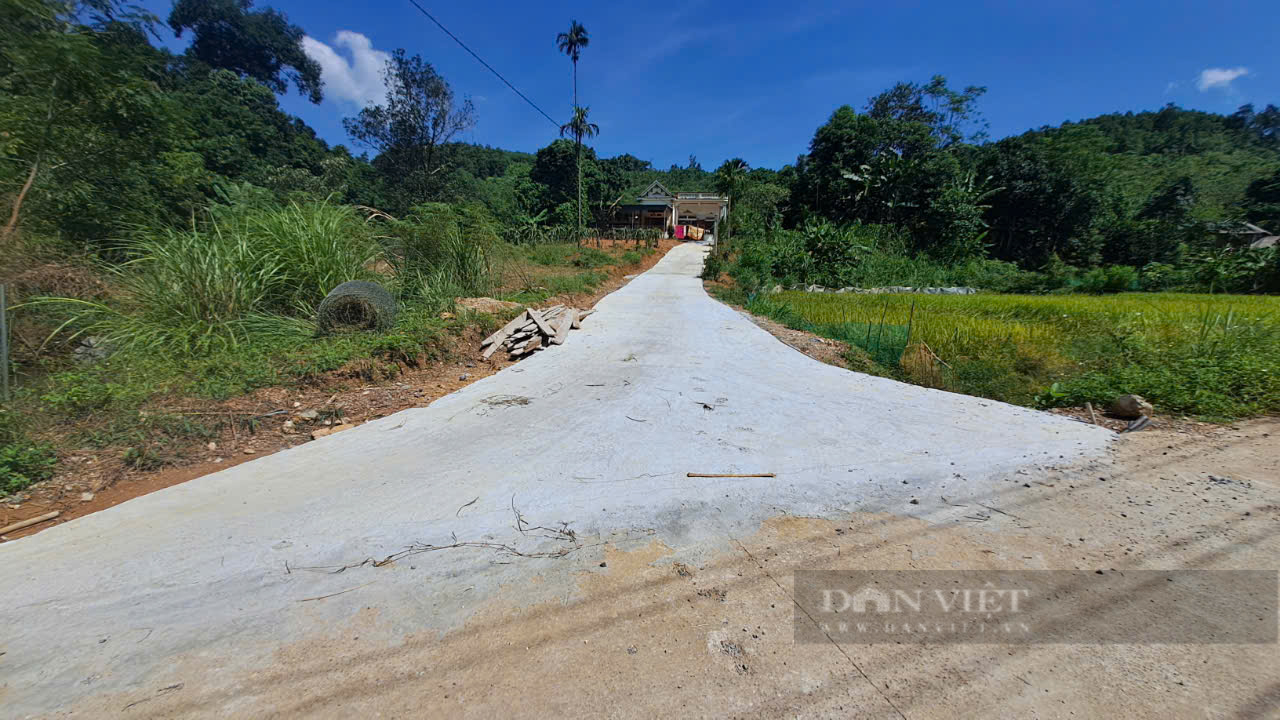  Nhiều tuyến đường bê tông nông thôn mới được đầu tư xây dựng trong năm 2024 đến từng hộ dân, tạo thuận lợi cho người dân đi lại. Ảnh: Hà Thanh