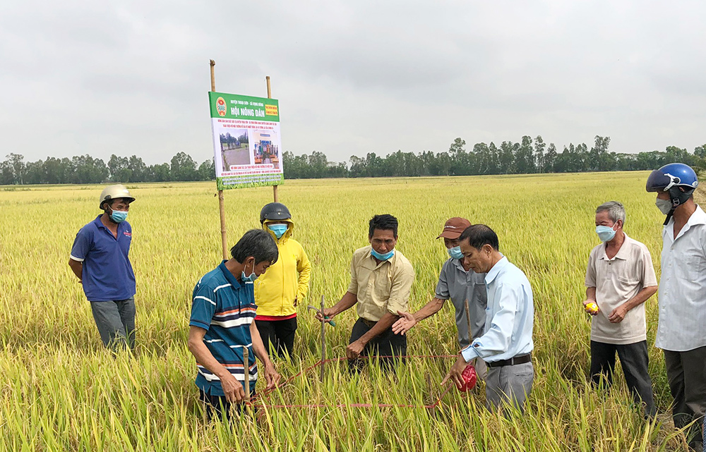  Năm 2024 này, Hội Nông dân tỉnh An Giang đã lựa chọn 100 tổ hợp tác đủ điều kiện để giới thiệu tham gia thực hiện Đề án 'Phát triển bền vững 1 triệu ha chuyên canh lúa chất lượng cao và phát thải thấp gắn với tăng trưởng xanh vùng ĐBSCL đến năm 2030' tại tỉnh An Giang.