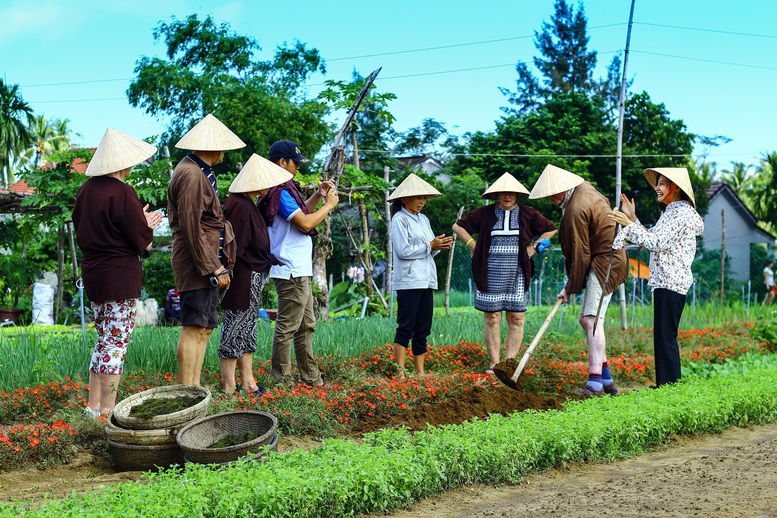  Du khách quốc tế tham quan, trải nghiệm trồng rau cùng nông dân tại làng rau Trà Quế