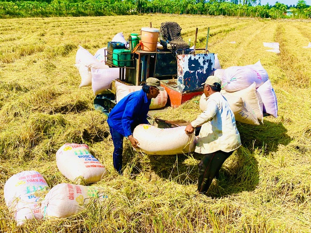  Ngành nông nghiệp tại ĐBSCL phụ thuộc nhiều vào thời tiết và thiên nhiên nên các tổ chức tín dụng e ngại cho vay. Ảnh: Hoàng Vũ