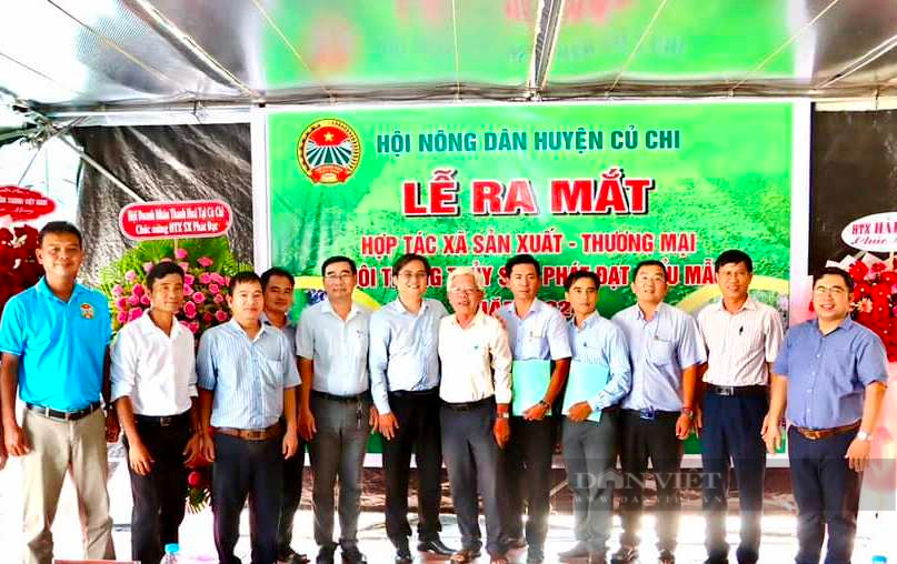  Lễ ra mắt Hợp tác xã kiểu mẫu sản xuất, thương mại, nuôi trồng thủy sản Phát Đạt, huyện Củ Chi. Ảnh: T.Đ