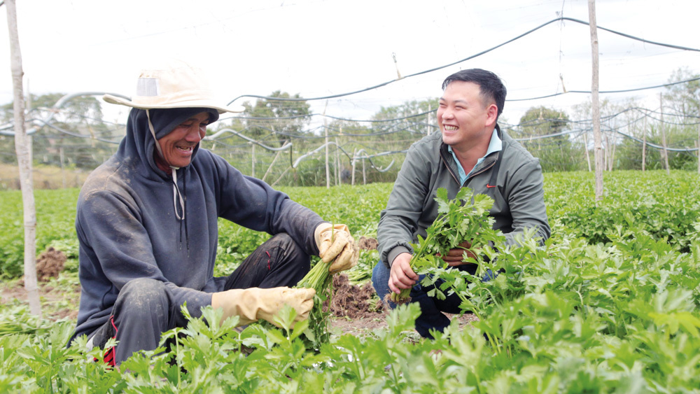  Khởi nghiệp nông nghiệp không nên dừng ở 'sân chơi' đơn thuần mà cần tạo ra giá trị và hiệu quả lâu dài.