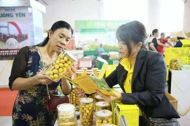 Trà hoa vàng là sản phẩm OCOP 5 sao của huyện Ba Chẽ. Ảnh: Trung tâm xúc tiến và phát triển công thương Quảng Ninh