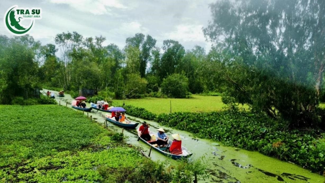 Bảng màu xanh thanh bình của thiên nhiên Trà Sư
