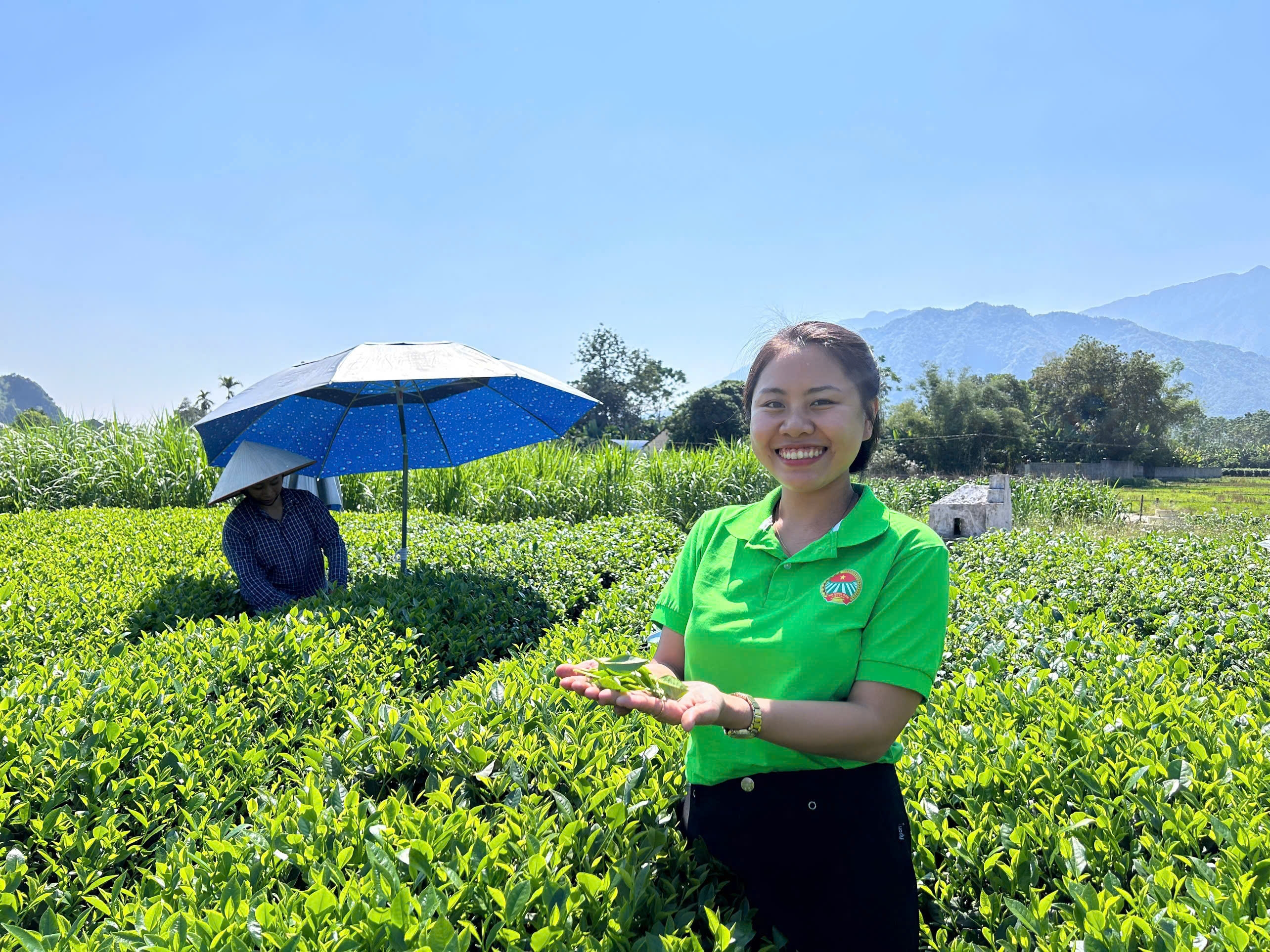 Chị Đỗ Thị Nguyên - Giám đốc HTX Chè Phúc Nguyên (xã Văn Yên, huyện Đại Từ, tỉnh Thái Nguyên) bên đồi chè của HTX. Ảnh: HTX Chè Phúc Nguyên