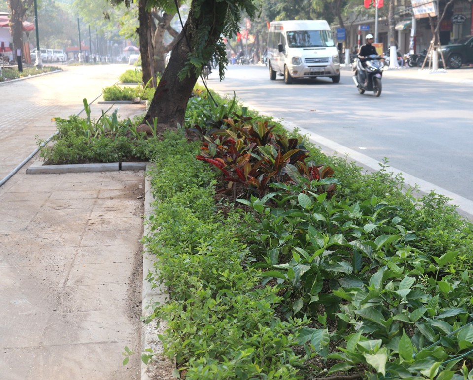  Dự án hạ thấp tường rào tạo không gian mở khu vực Công viên Tuổi trẻ Thủ đô (Quận Hai Bà Trưng) gồm các hạng mục: cải tạo, chỉnh trang hè, bó bồn cây, trồng cây xanh, lắp đặt hệ thống điện chiếu sáng…