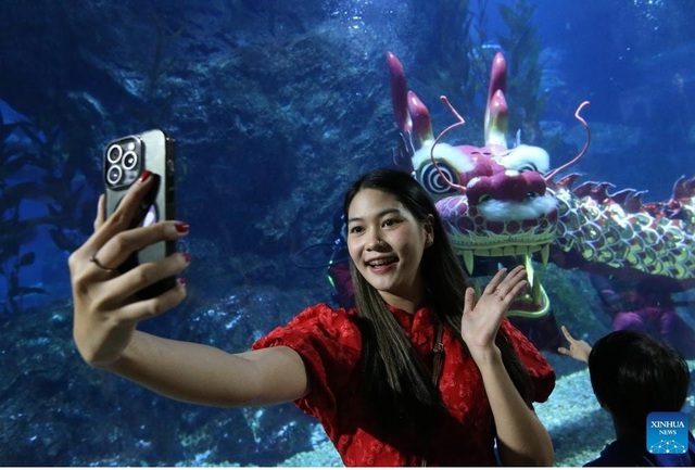  Thợ lặn biểu diễn múa lân tại SEA LIFE Bangkok Ocean World để chào mừng năm mới 2025. Ảnh: Tân Hoa Xã