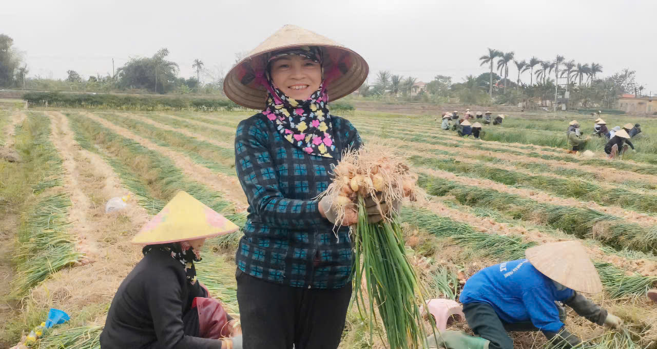  Nông dân phấn khởi có vụ hành bội thu. Ảnh: PV.