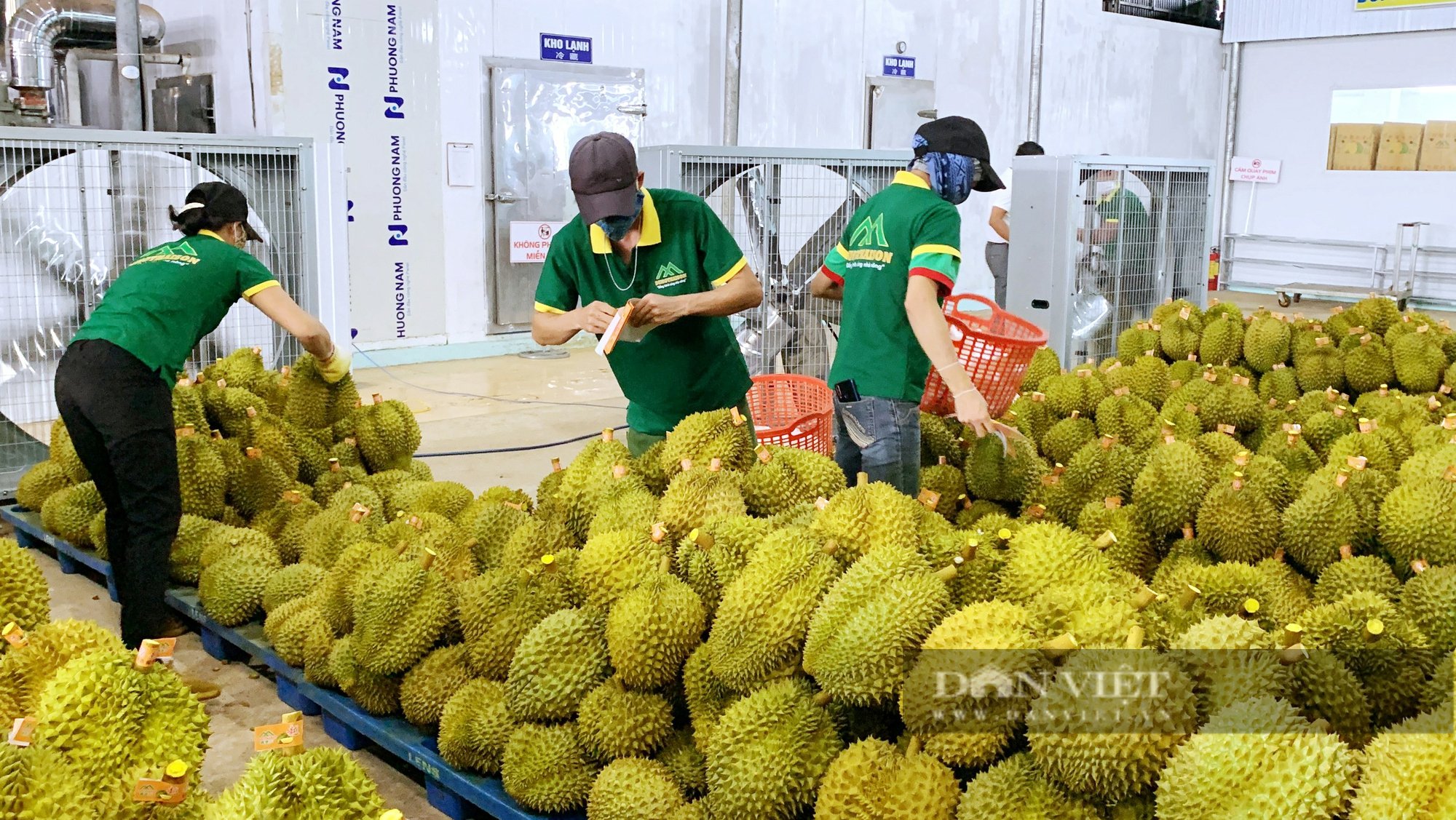  Đắk Nông có tổng diện tích tự nhiên gần 651.000ha, trong đó diện tích đất sản xuất nông nghiệp khoảng 380.000ha (chiếm 58,4% diện tích tự nhiên), có trên130 chủng loại cây trồng, vật nuôi khác nhau.