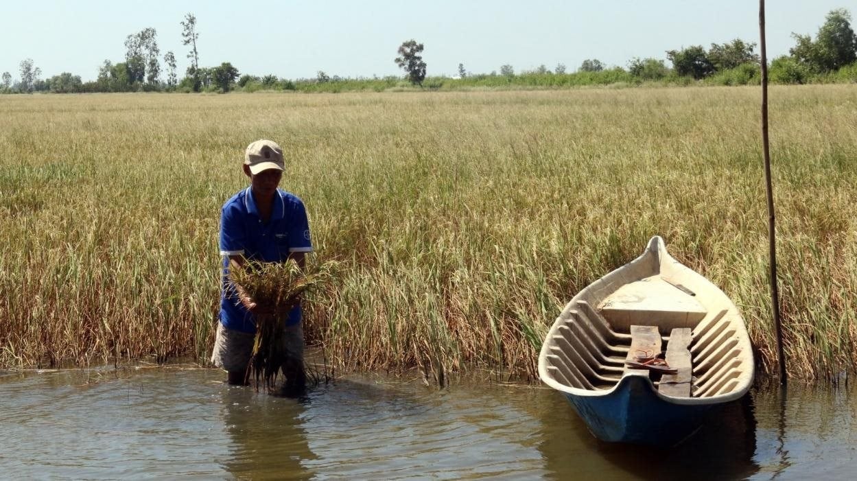  Chủ động ứng phó đợt xâm nhập mặn cao điểm ở Đồng bằng sông Cửu Long và TP HCM. Ảnh minh họa