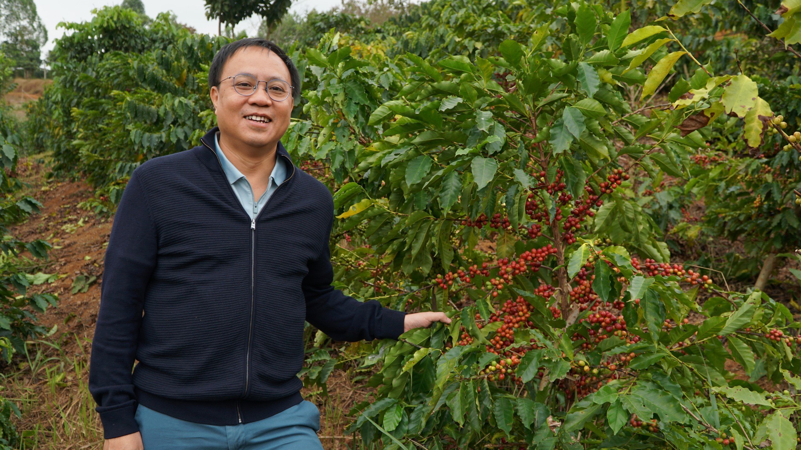  Ông Phan Minh Thông - Chủ tịch HĐQT Công ty CP Phúc Sinh thăm vùng nguyên liệu cà phê Arabica tại tỉnh Sơn La. Ảnh: Hoài Yến