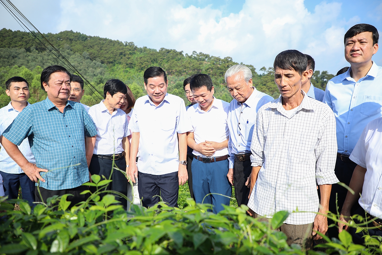  Phó Chủ tịch Quốc hội Lê Minh Hoan (đầu tiên bên trái) thăm mô hình sản xuất sâm Nam núi Dành của HTX Đức Hạnh, xã Liên Chung, huyện Tân Yên, tỉnh Bắc Giang. Ảnh: Nguyễn Miền