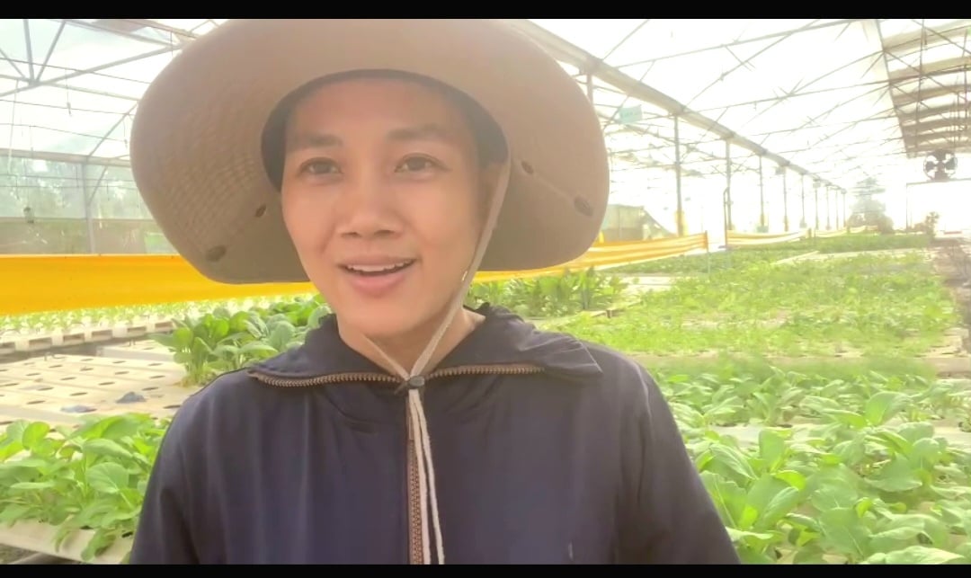 Chị Đỗ Thị Dinh - chủ nông trại Rau thuỷ Canh Thành Tâm. Ảnh Tú San