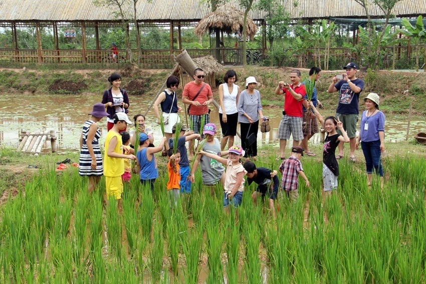 Phụ huynh học sinh thích thú tham gia trải nghiệm cấy lúa tại một trang trại nông nghiệp tại huyện Sóc Sơn (Hà Nội).
