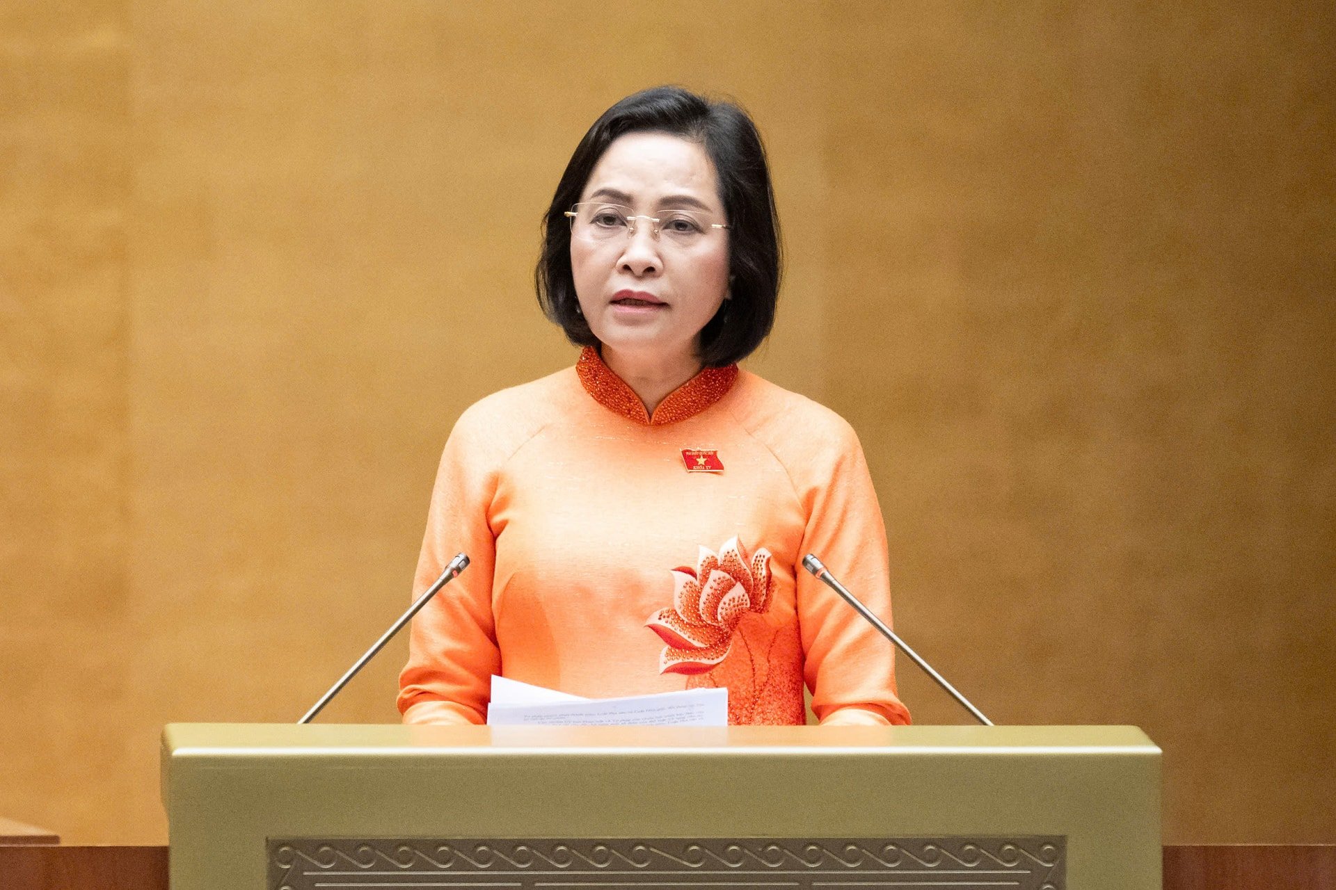 Phó Chủ tịch Quốc hội Nguyễn Thị Thanh trình bày các tờ trình. Ảnh: media.quochoi.vn