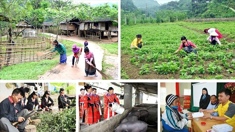 Điều chỉnh đối tượng, dự án thành phần của Chương trình phát triển KTXH vùng dân tộc thiểu số và miền núi.