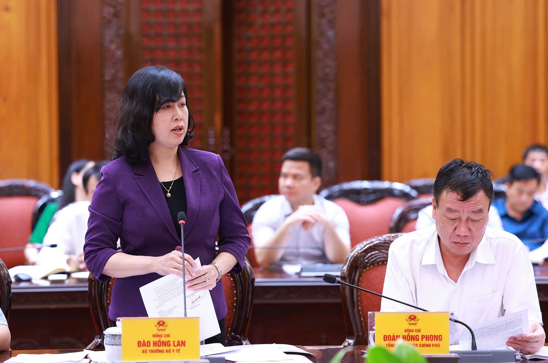 Bộ trưởng Bộ Y tế Đào Hồng Lan phát biểu tại cuộc họp.