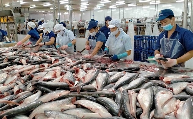 Nhu cầu cá tra có dấu hiệu chững lại tại Mỹ.