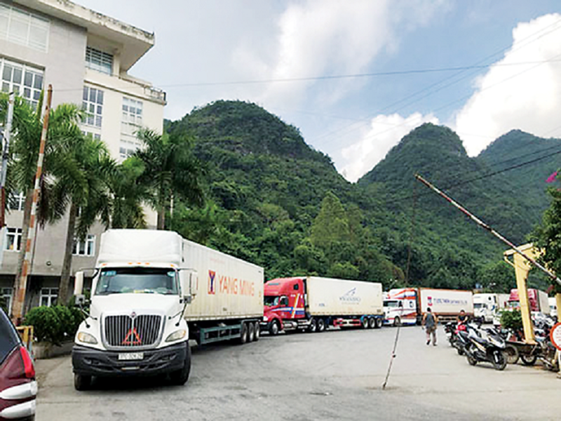 Văn bản này nhằm tạo điều kiện cho hoạt động xuất khẩu của doanh nghiệp