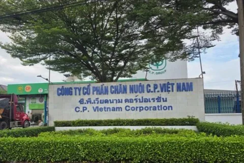 Cuối tháng 11/2024, Công ty C.P Việt Nam bị phạt gần 790 triệu đồng vì vi phạm môi trường.
