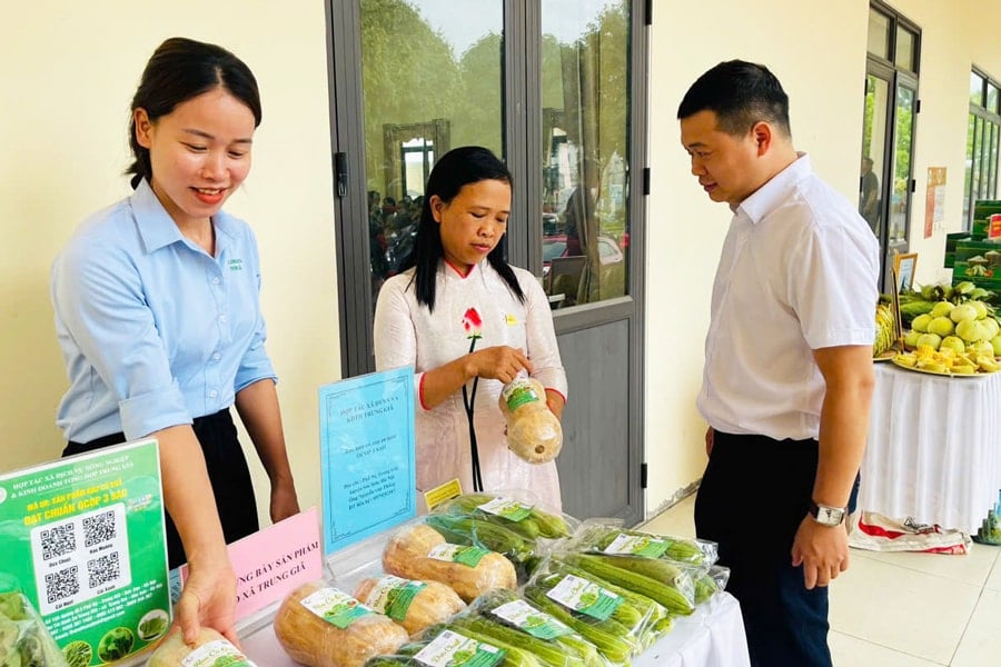 Giới thiệu các sản phẩm OCOP của Hợp tác xã Dịch vụ nông nghiệp và kinh doanh tổng hợp Trung Giã (huyện Sóc Sơn). Ảnh: Hương Giang