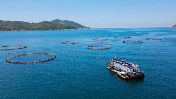 Trong bối cảnh thế giới bước vào “Thế kỷ của đại dương”, việc phát triển bền vững kinh tế biển đã trở thành định hướng chiến lược của nhiều quốc gia - Ảnh: IT