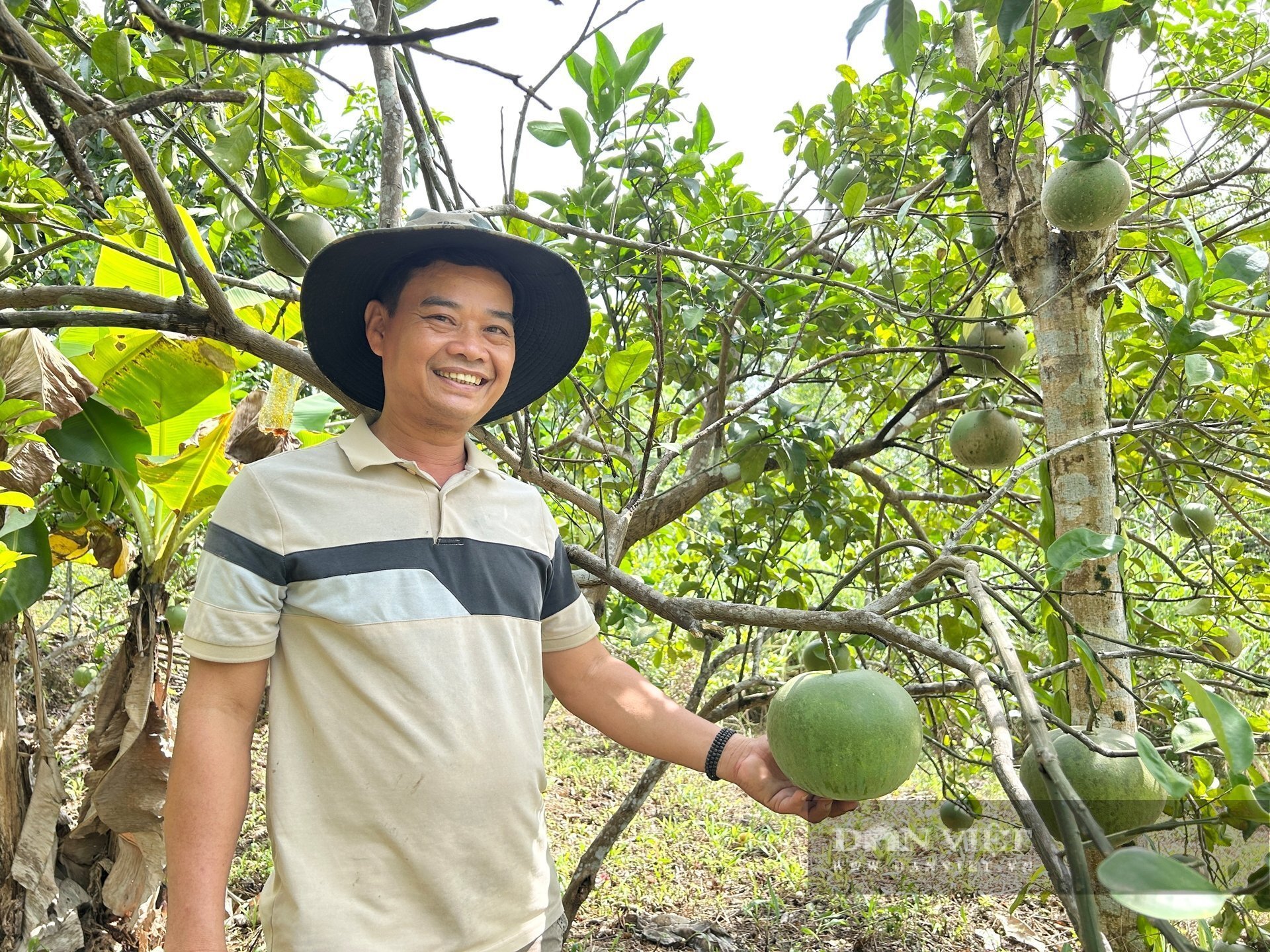 Vườn cây ăn quả mang lại cho anh Thu nguồn thu nhập ổn định, đời sống khấm khá hơn trước. Ảnh: T.N.