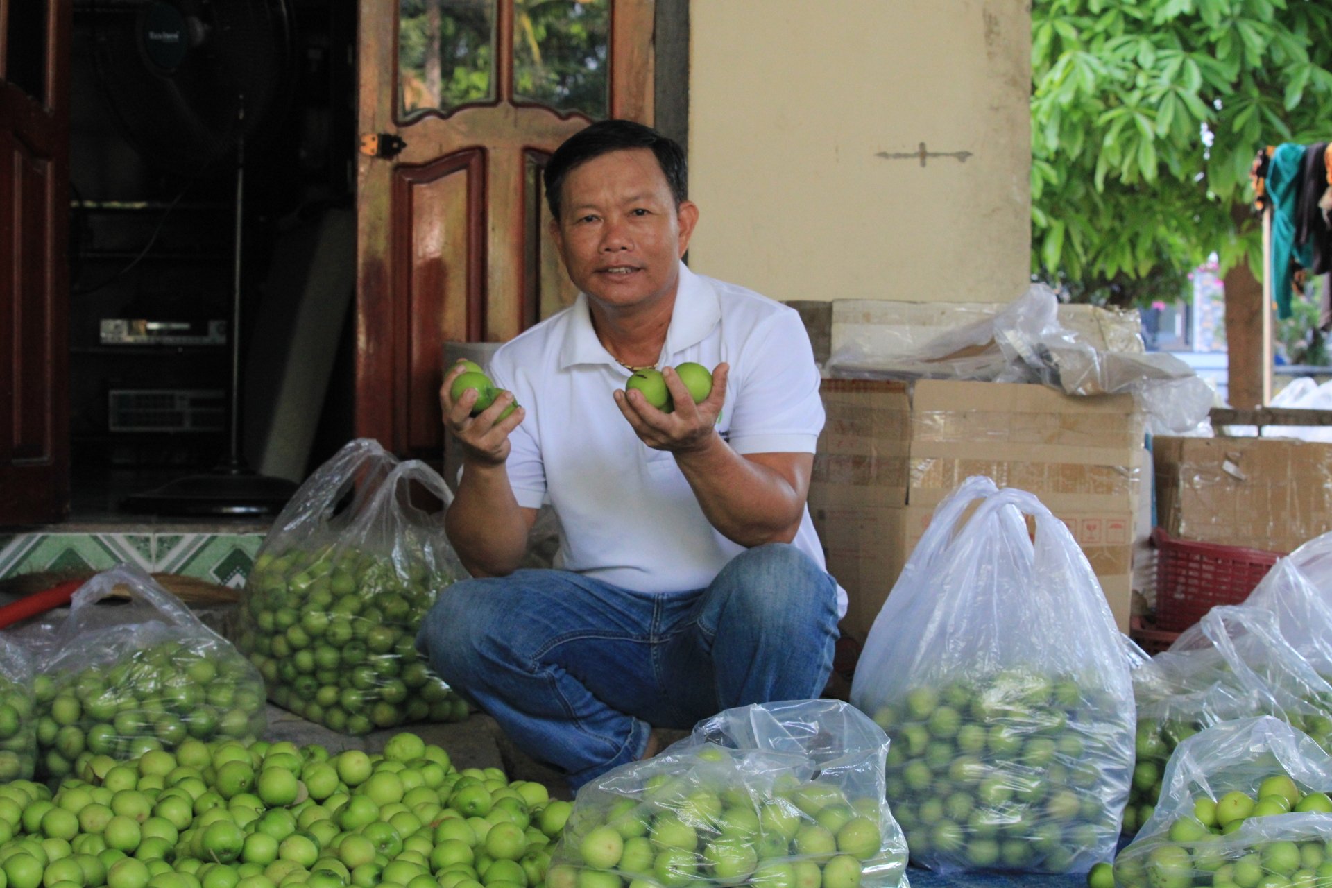 Anh Hồ Tấn Cường, xã Cam Thành Nam, Cam Ranh (Khánh Hòa) làm giàu từ nghề trồng táo ở địa phương và tạo việc làm cho nhiều lao động.