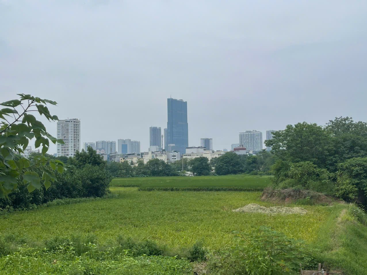 Khi chuyển đổi mục đích sử dụng đất, người dân sẽ phải nộp các khoản phí như: tiền sử dụng đất, lệ phí trước bạ, phí thẩm định hồ sơ và lệ phí cấp Giấy chứng nhận. Ảnh: Nguyễn Đức.