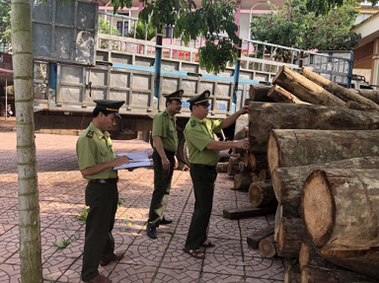  Có 3 hình thức kiểm tra, truy xuất nguồn gốc lâm sản