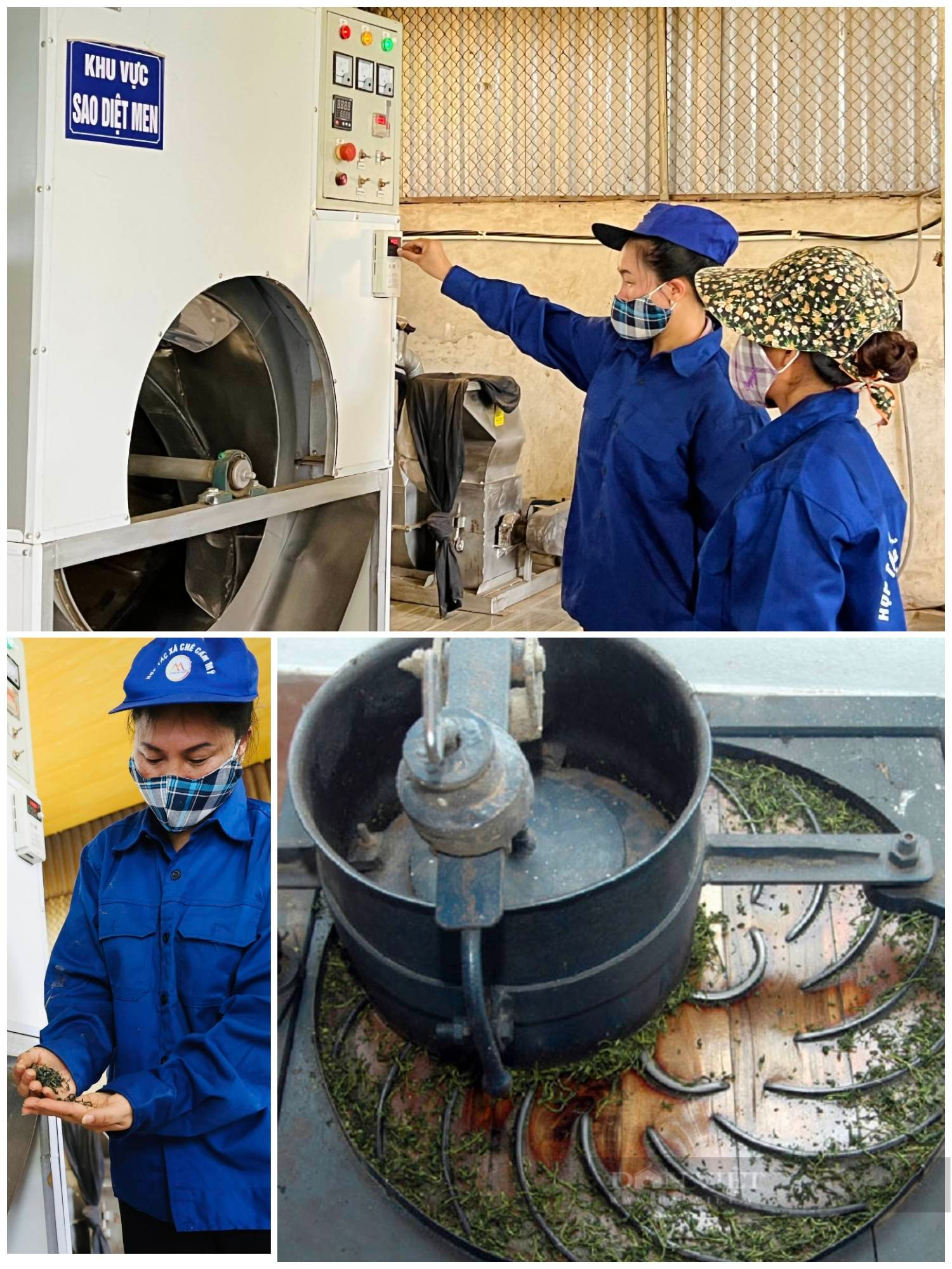 Các hợp tác xã ở Phú Thọ hoạt động đã liên kết người dân cùng ứng dụng công nghệ vào sản xuất tập trung, tăng năng suất, hiệu quả kinh tế. Từ đó thoát nghèo, vươn lên phát triển kinh tế hộ gia đình, xây dựng nông thôn mới...