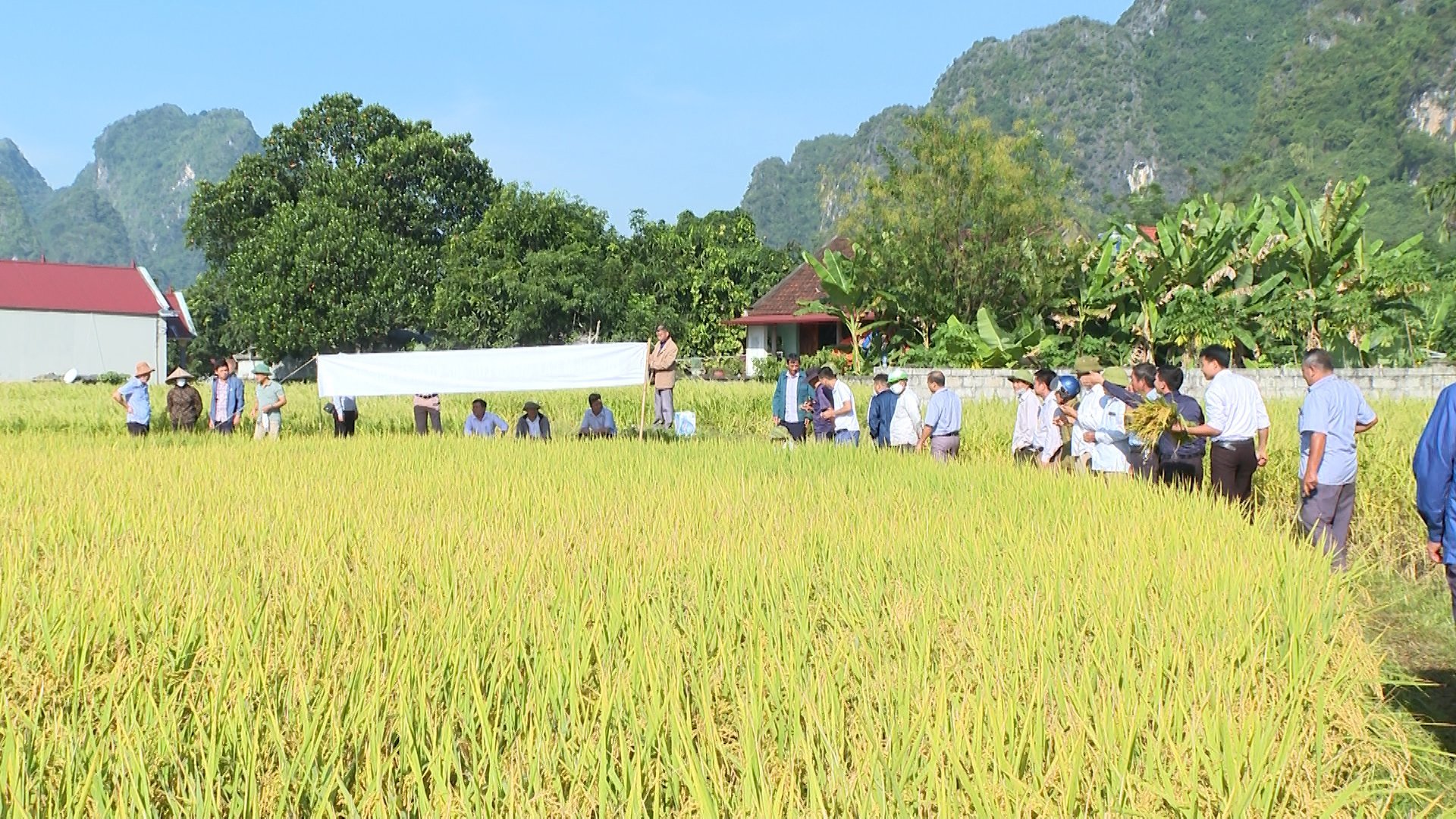 Bà con nông dân được tập huấn, áp dụng khoa học kỹ thuật vào sản xuất nông nghiệp. Ảnh: Hoàng Tính