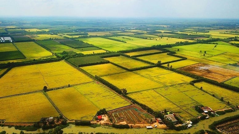  Bộ Tài chính đề xuất quy định hướng dẫn việc kéo dài thời hạn miễn thuế sử dụng đất nông nghiệp