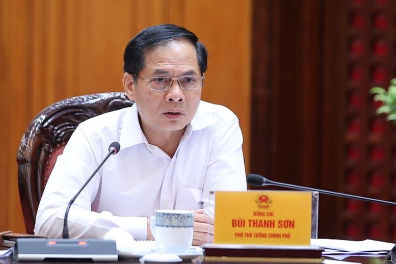 Phó Thủ tướng Bùi Thanh Sơn phát biểu tại cuộc họp - Ảnh: VGP/Nhật Bắc