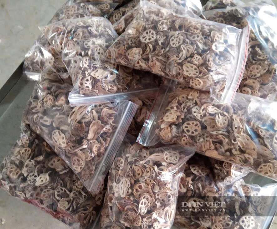  Củ sen đã được sê chế, đóng gói tiện cho việc sử dụng. Ảnh: M A